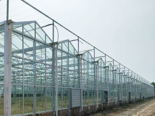 建造溫室大棚選址的標(biāo)準(zhǔn)和要求，快來(lái)看一下