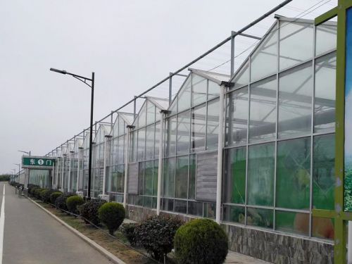 玻璃智能溫室
