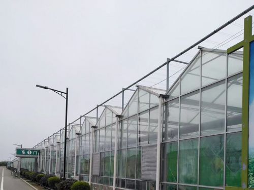 智能玻璃溫室大棚是如何建設(shè)的？